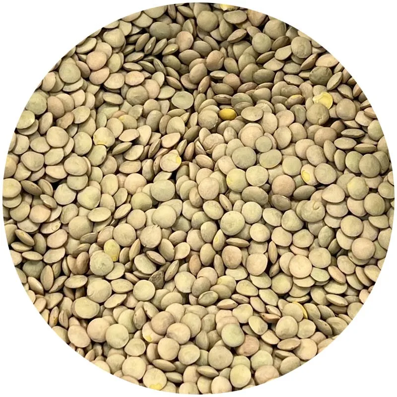 Lenteja castellana a granel