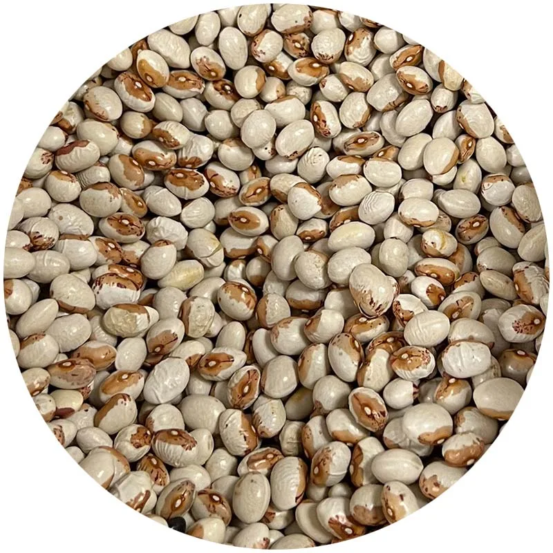 Alubia Boliche del Pilar