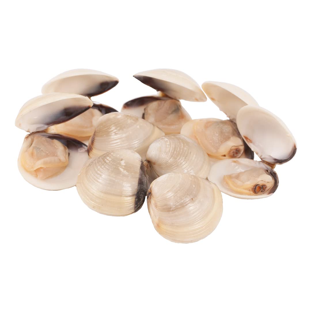 almejas blancas al natural bogar