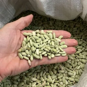 Alubia verdina a granel - 1 kg