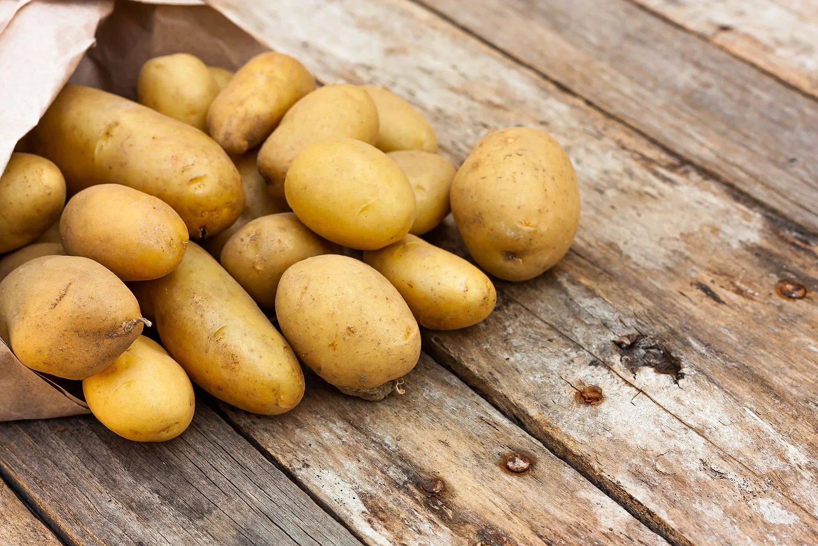 variedades de patatas