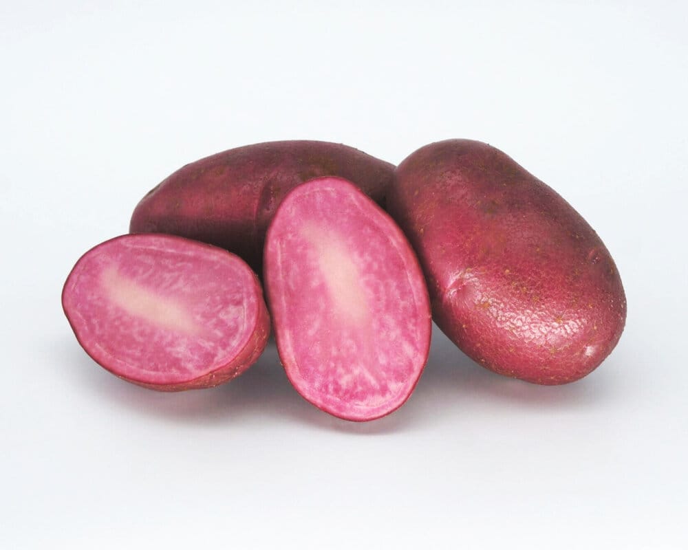variedades de patatas rojas