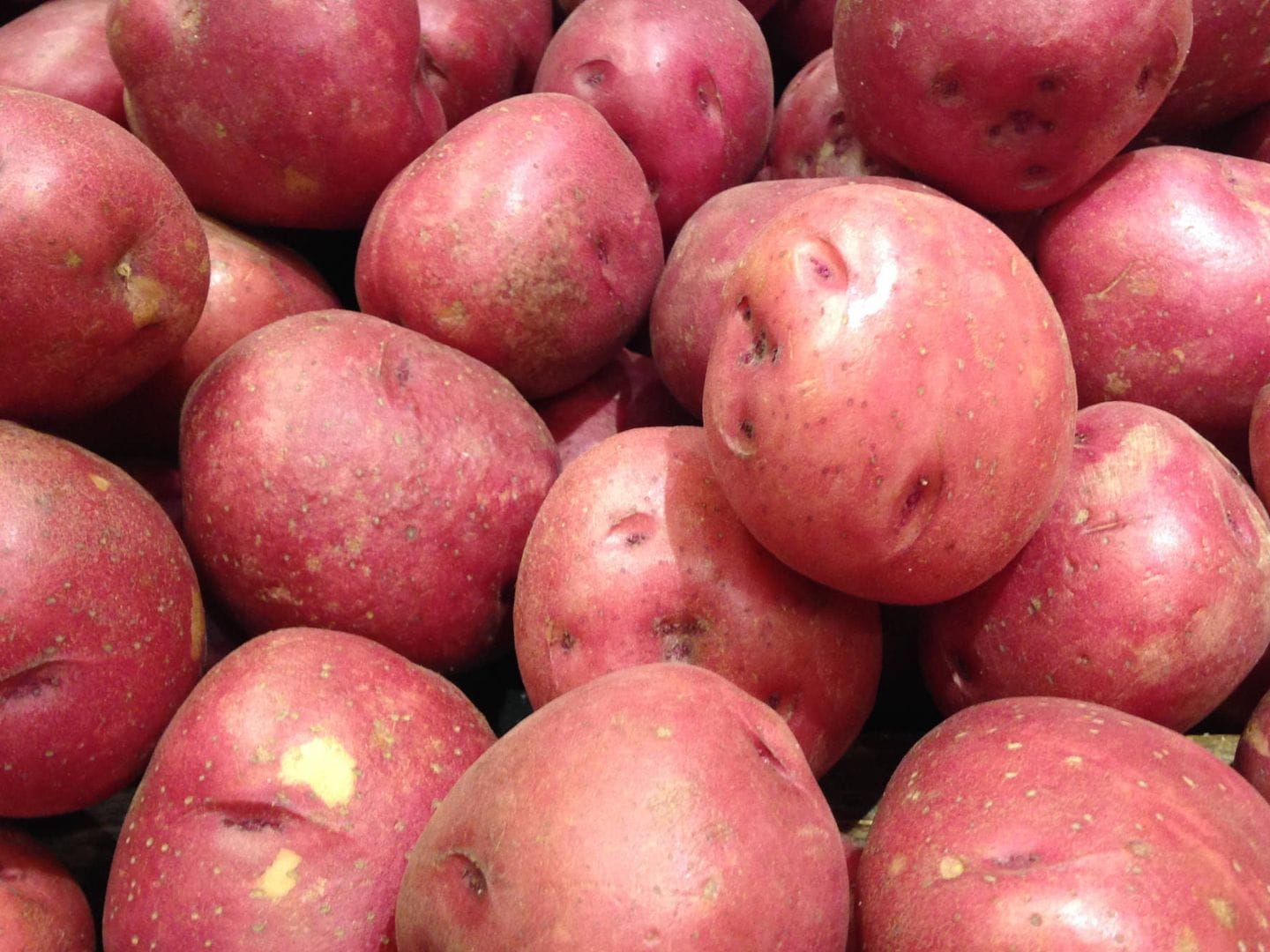 variedades de patatas rojas