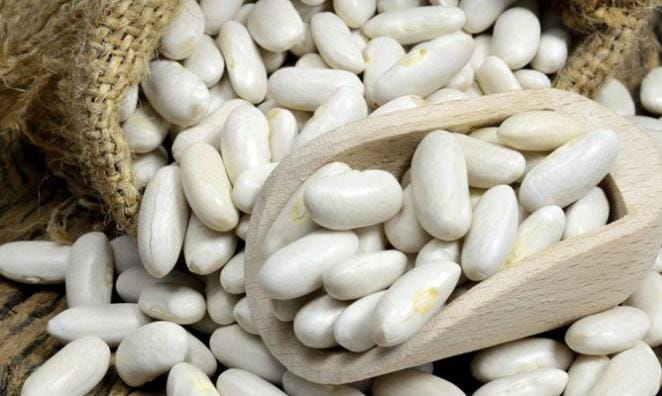Recetas rápidas con alubias blancas