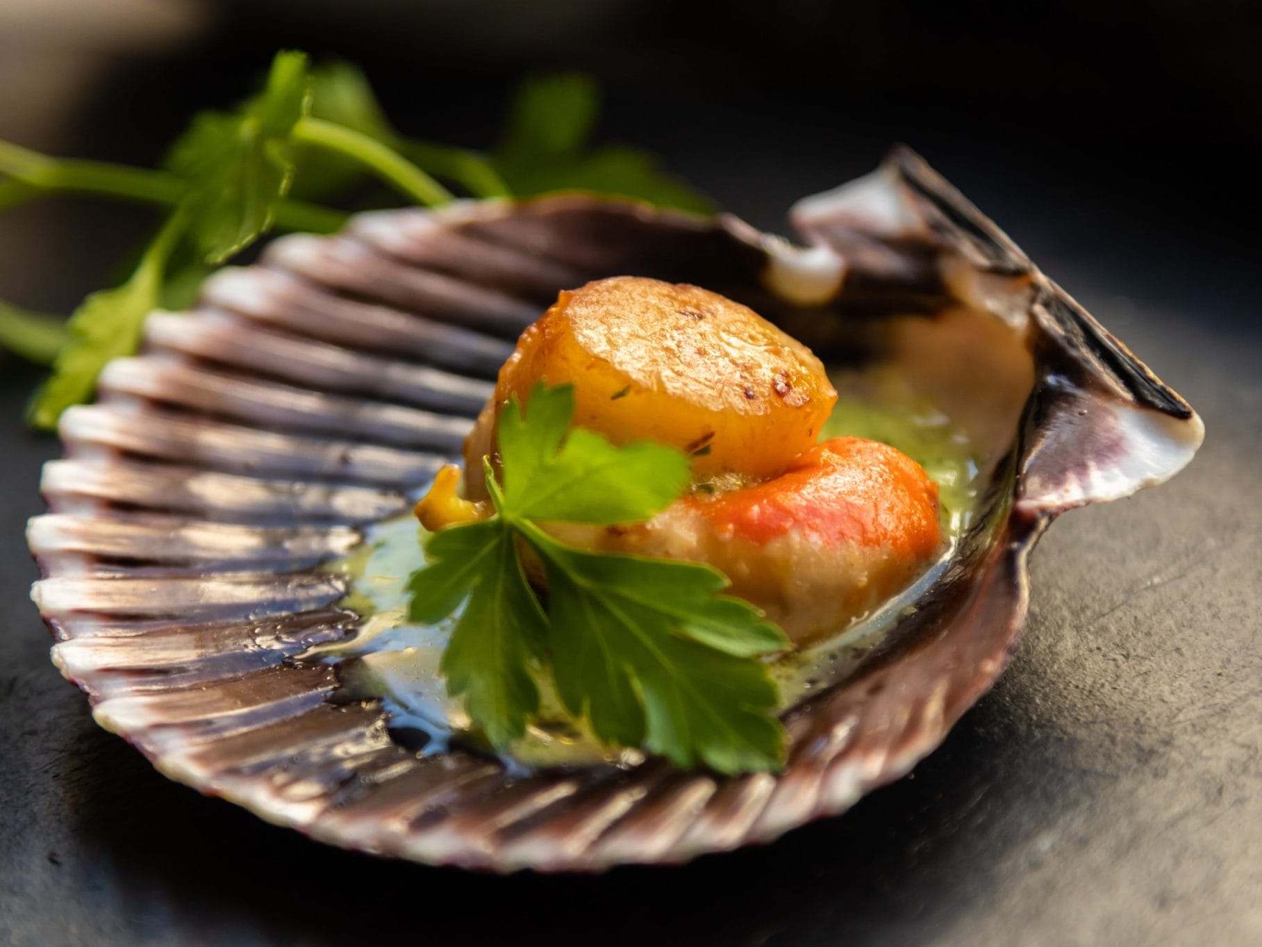 Diferencia entre zamburiñas y vieiras