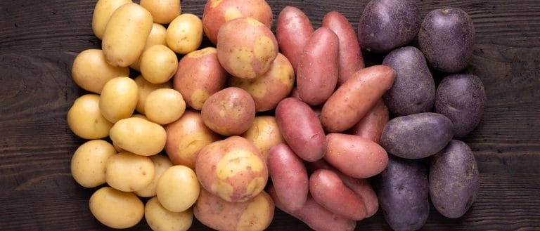 Las patatas tienen gluten