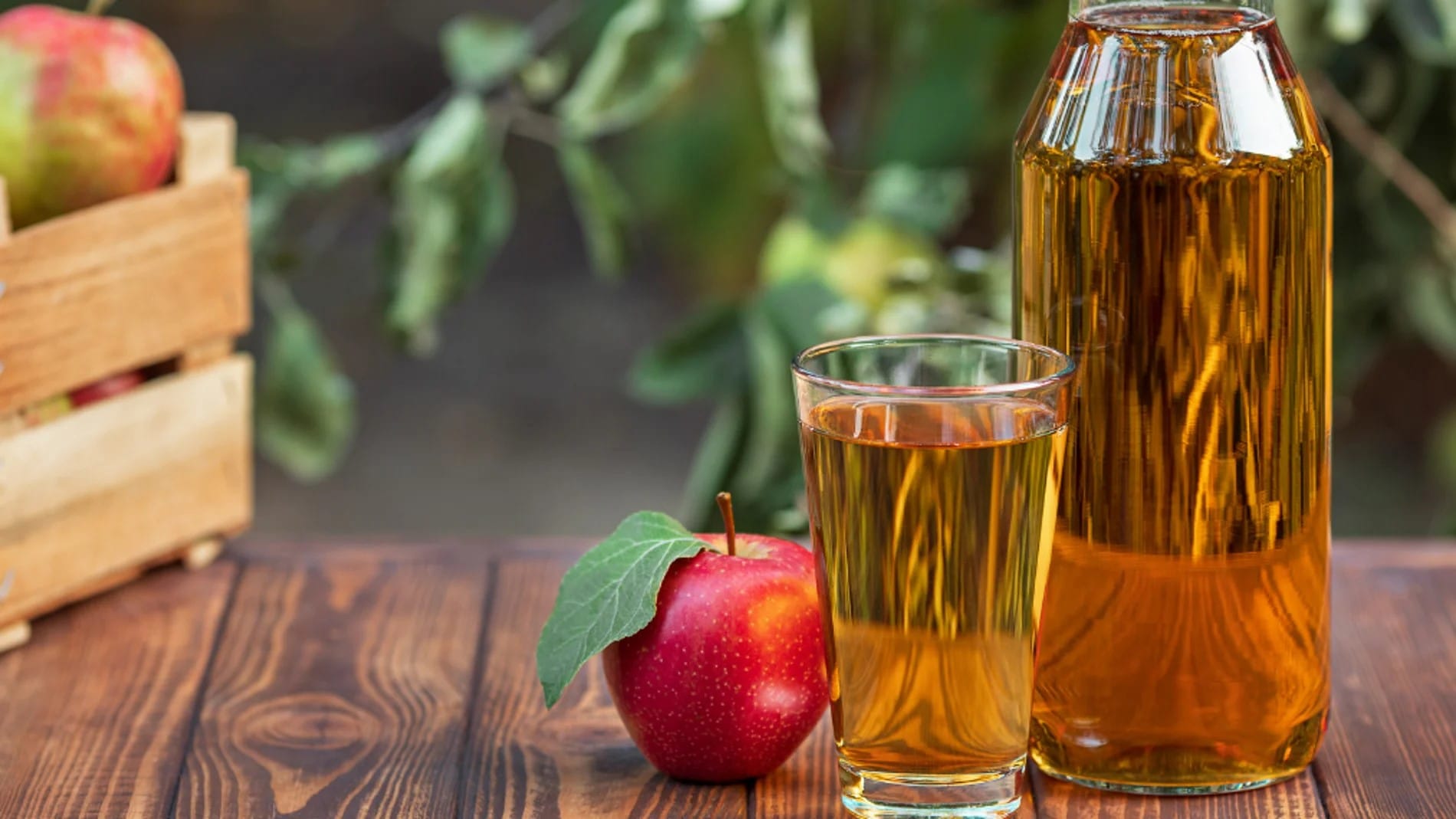 Vinagre de manzana ecológico