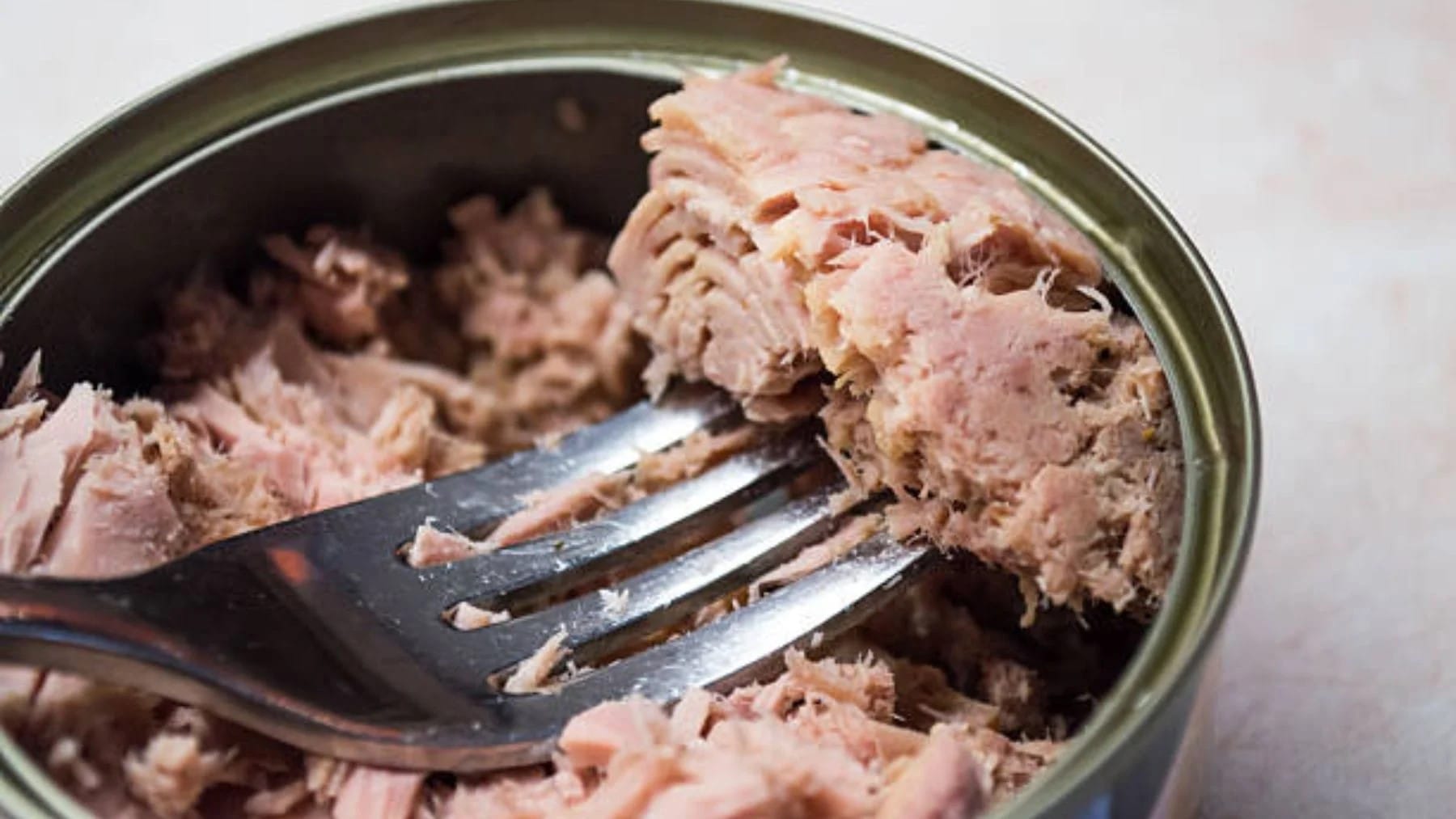 las embarazadas pueden comer atún
