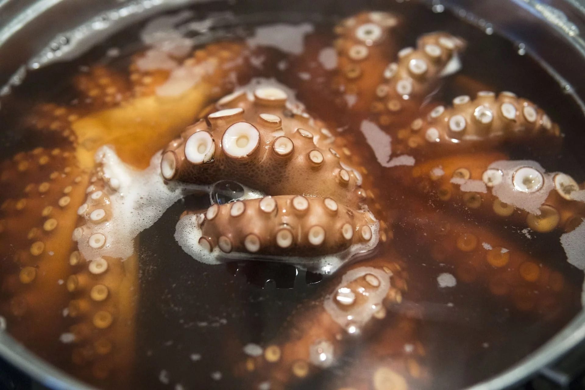 Beneficio del pulpo