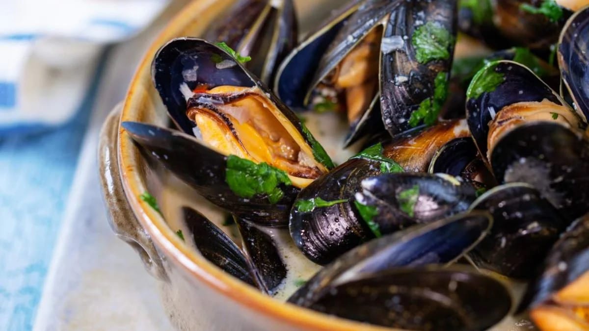 Mejillones y hierro