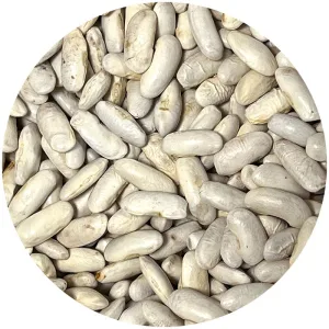 Alubia fabada a granel