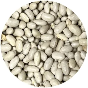 Alubia riñón a granel