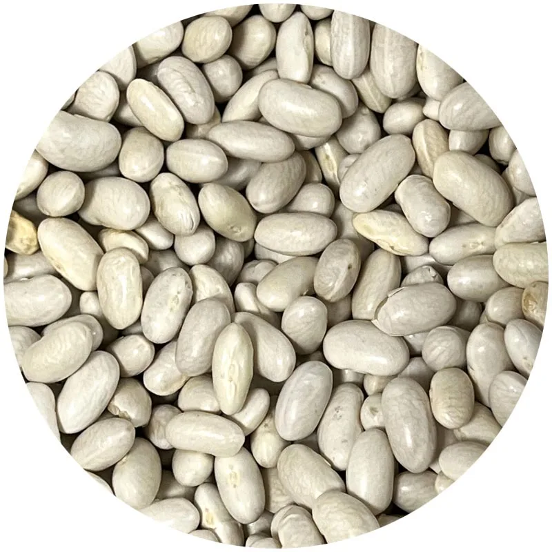 Alubia riñón a granel