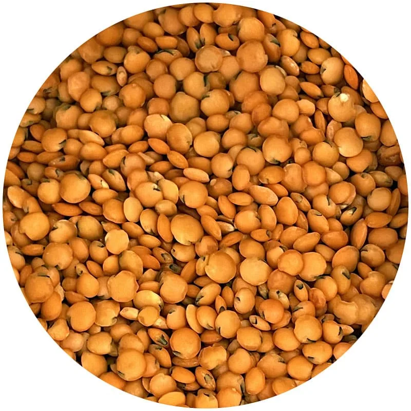 Lenteja pelada a granel