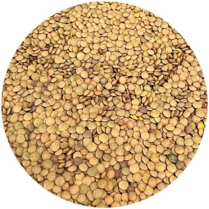 Lenteja rápida a granel