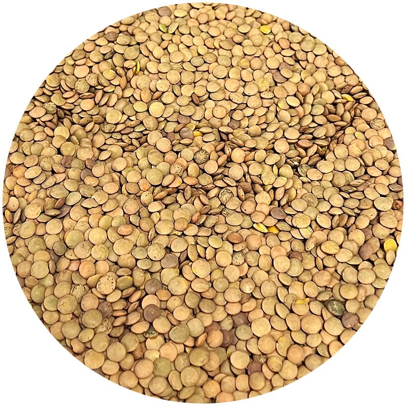 Lenteja rápida a granel