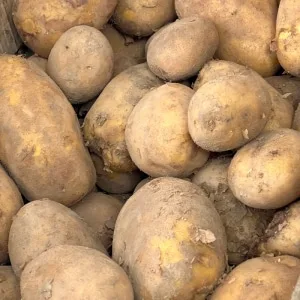 Patata agria 1,8€/kg.